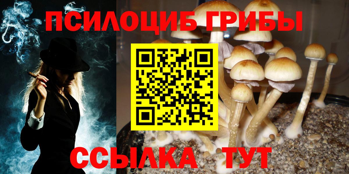 Псилоцибиновые грибы Cubensis  Вход с VPN  Галлюциногенные грибы Magic Shrooms  Кулебаки 