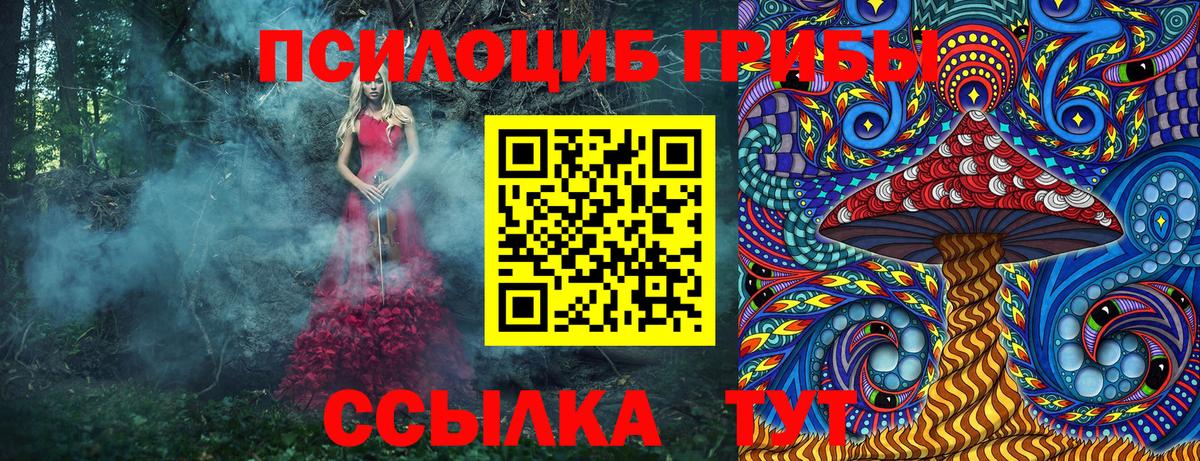 Галлюциногенные грибы MAGIC MUSHROOMS Кулебаки